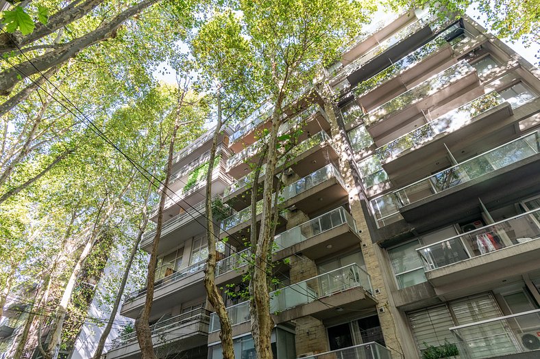 Luz y tranquilidad en las alturas de Palermo